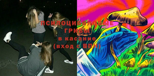 СК Белокуриха