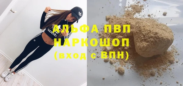СК Белокуриха