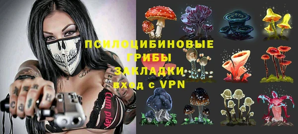 СК Белокуриха