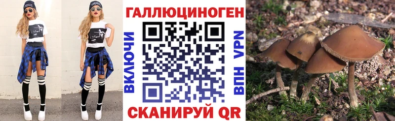Галлюциногенные грибы Psilocybine cubensis  наркотики  Кушва 