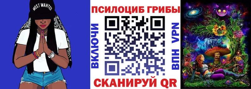 Галлюциногенные грибы Psilocybine cubensis Кушва
